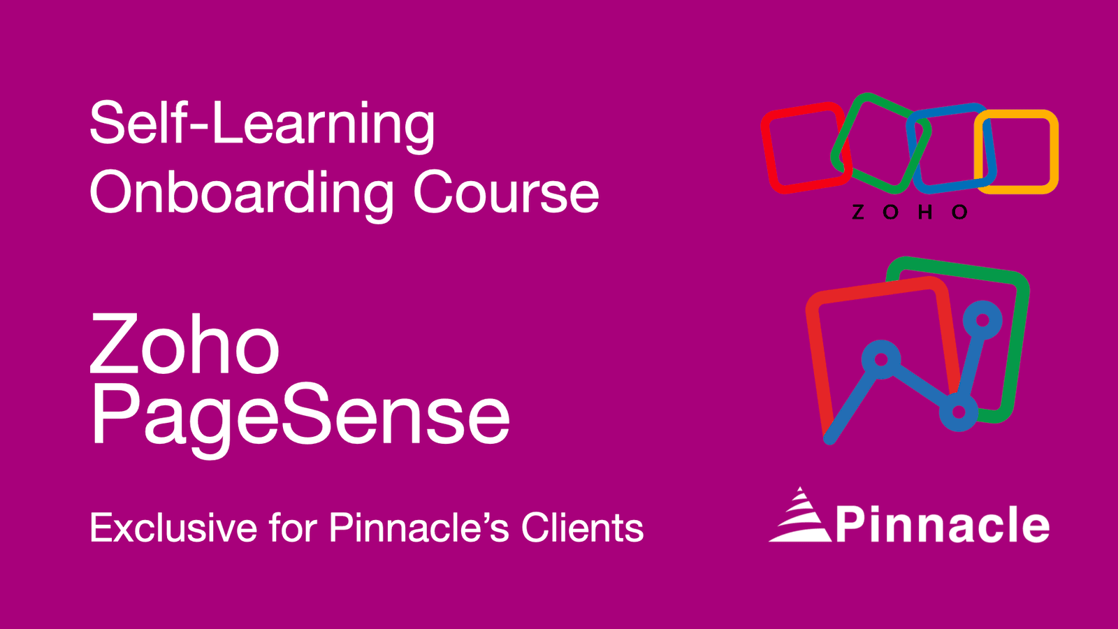 About Zoho PageSense